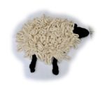 merino wool sheep